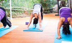 yoga en medellin para todos los niveles